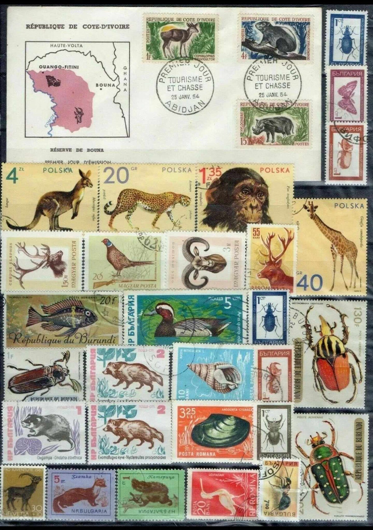 Animaux : Lot de Lettres 1er JOUR et Timbres du Monde