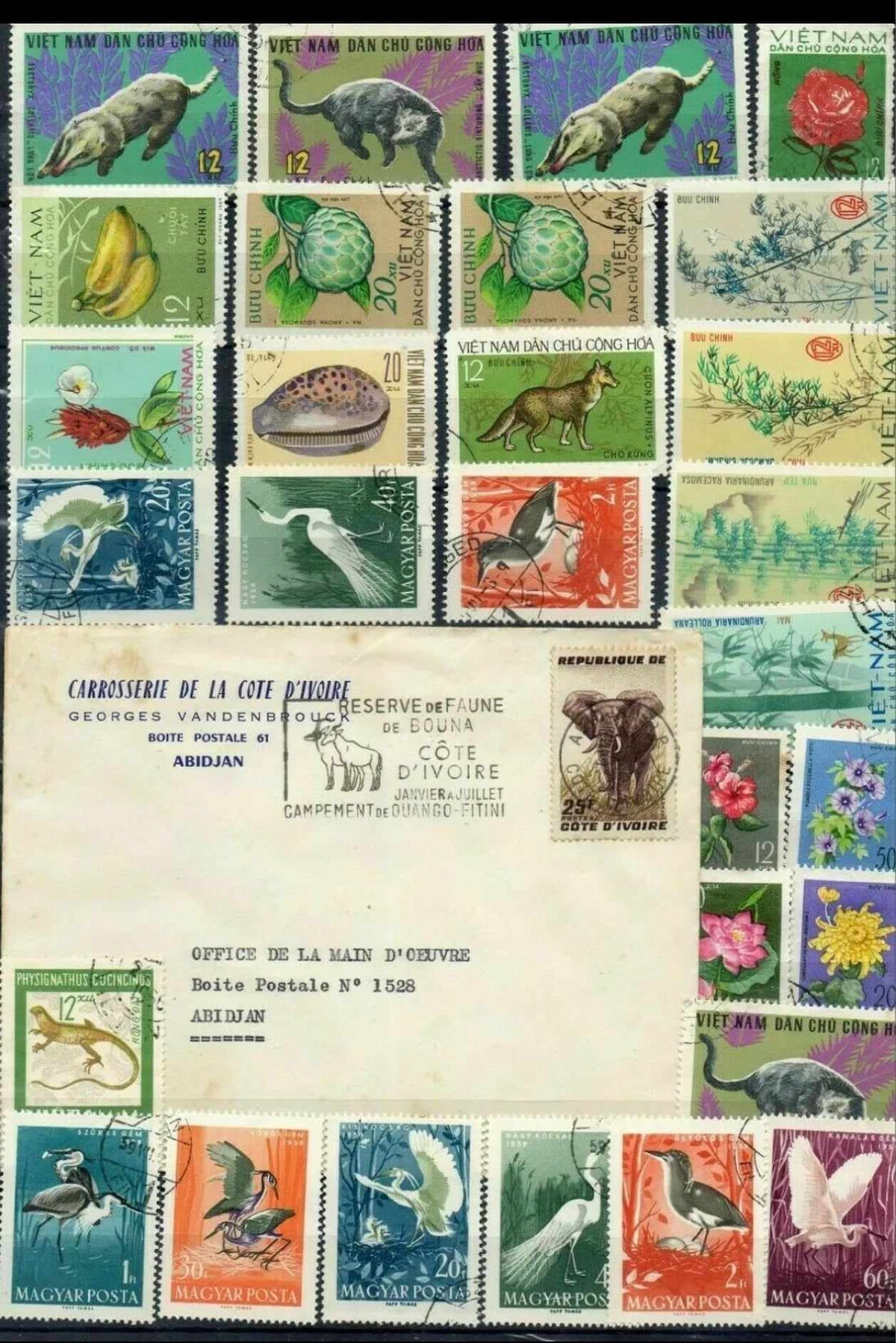 Animaux : Lot de Lettres 1er JOUR et Timbres du Monde