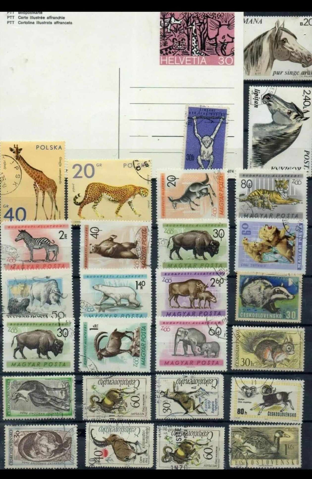 Animaux : Lot de Lettres 1er JOUR et Timbres du Monde
