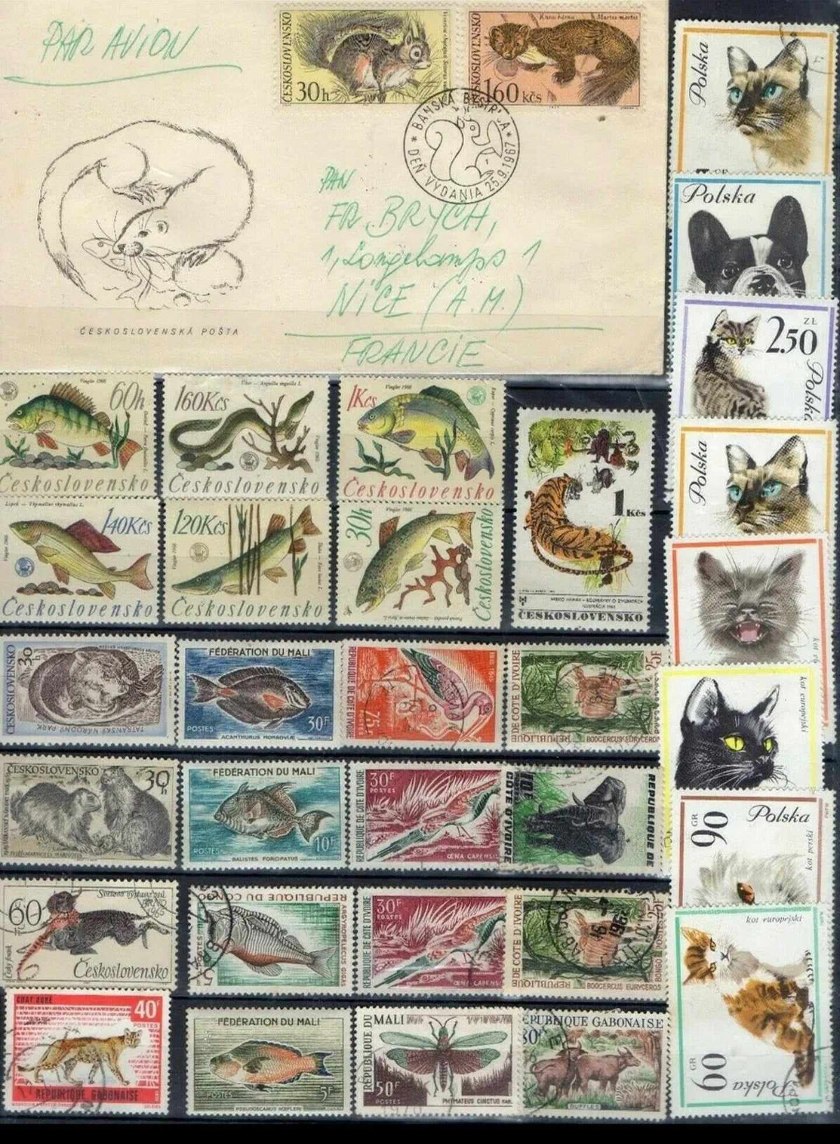 Animaux : Lot de Lettres 1er JOUR et Timbres du Monde