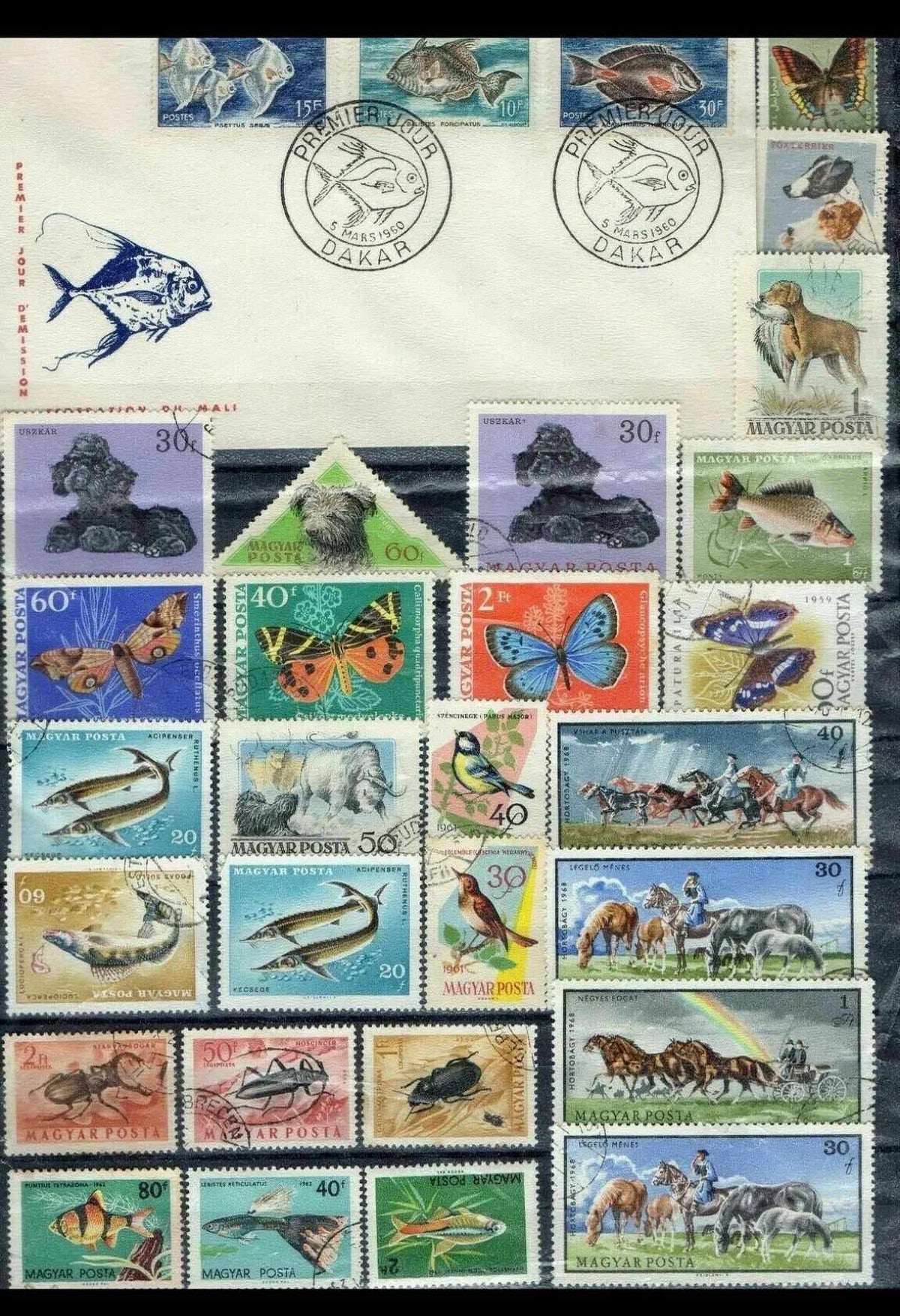 Animaux : Lot de Lettres 1er JOUR et Timbres du Monde
